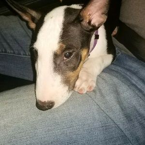 Meet your Posher, Seth